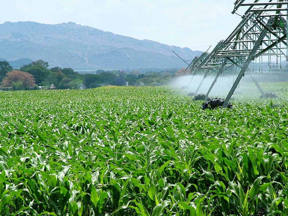 World Bank Investment in Kenya Climate-Smart Agriculture