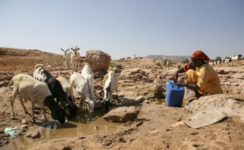 Somalia hopes to ensure that drought never turns to famine again